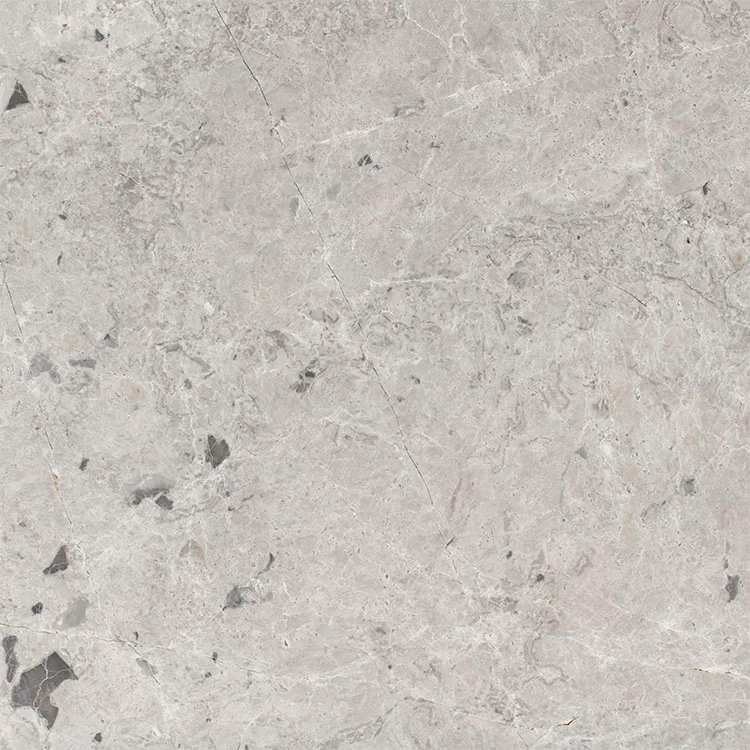 Tundra-Grisi-Honlanmış