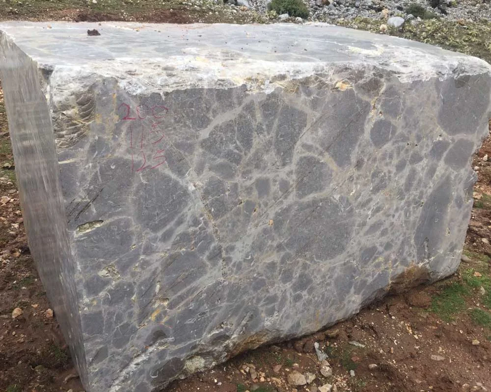 gray-pizzato_1144eda577